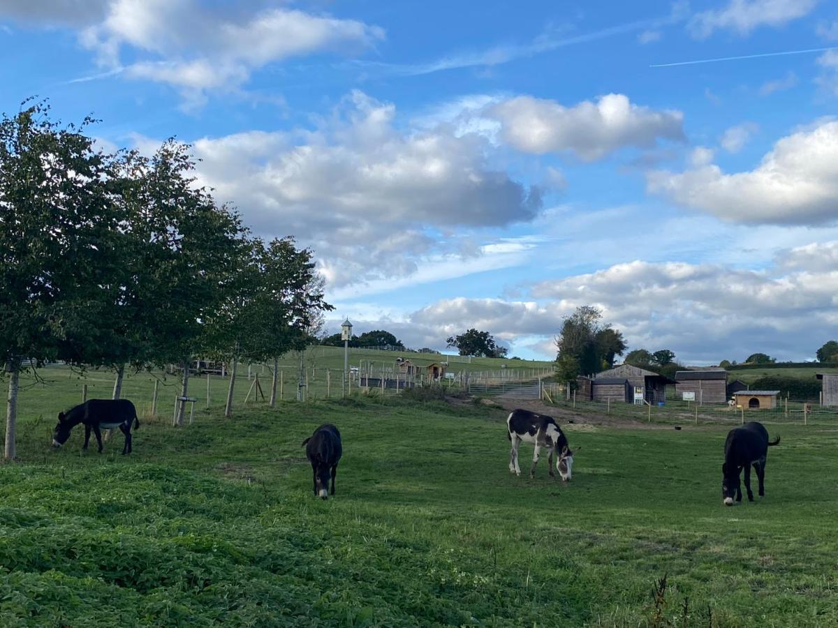 Fairview Farm Holiday Accommodation 14 Luxury Lodges, Cabins, Dog Friendly, Suitable For Couples, Families And Groups, Wedding Guests , Corporate Events, Sleeps 2-65 Guests In Ravenshead, Nottingham Near Sherwood Forest, Set In 88 Acres Buitenkant foto