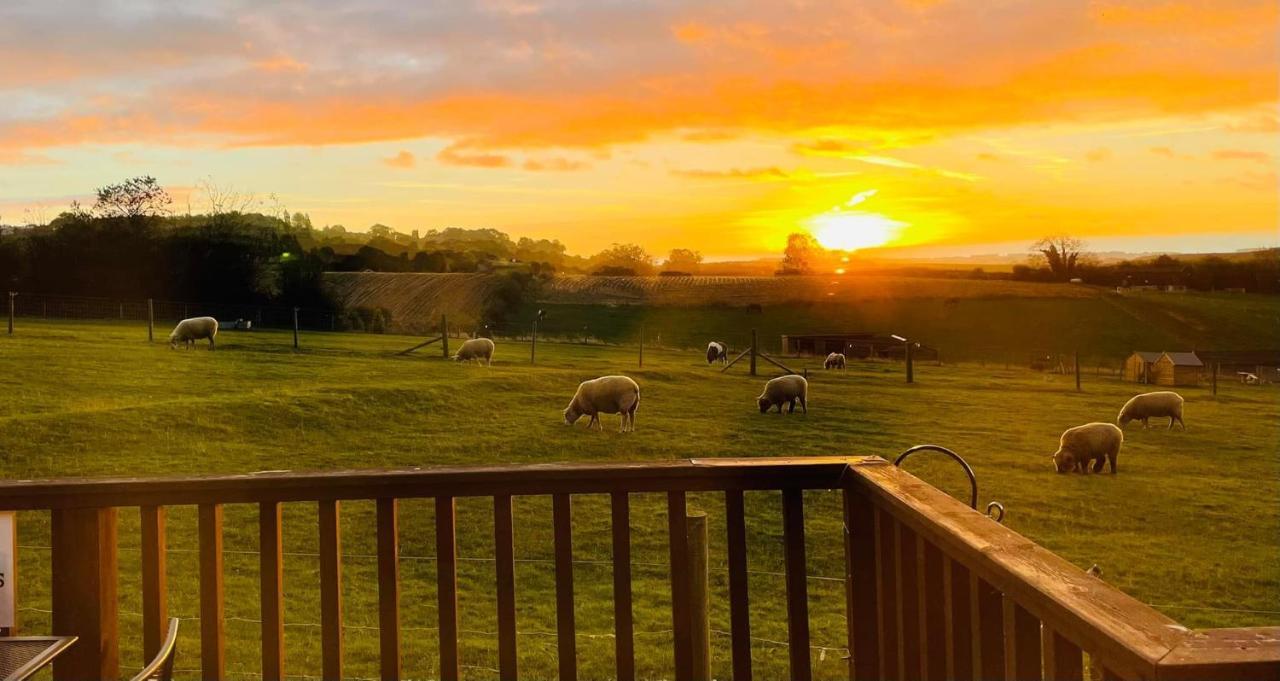 Fairview Farm Holiday Accommodation 14 Luxury Lodges, Cabins, Dog Friendly, Suitable For Couples, Families And Groups, Wedding Guests , Corporate Events, Sleeps 2-65 Guests In Ravenshead, Nottingham Near Sherwood Forest, Set In 88 Acres Buitenkant foto