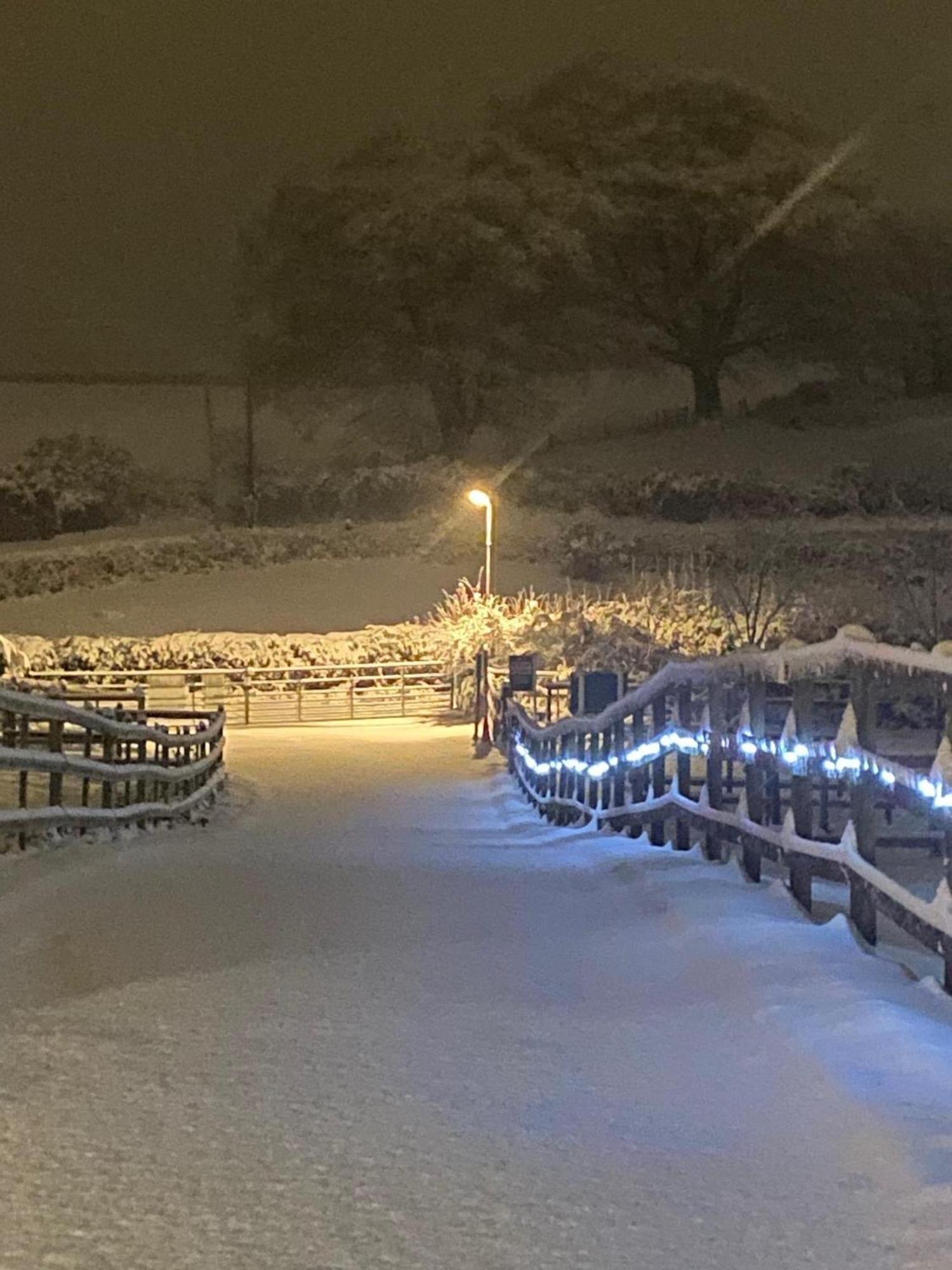 Fairview Farm Holiday Accommodation 14 Luxury Lodges, Cabins, Dog Friendly, Suitable For Couples, Families And Groups, Wedding Guests , Corporate Events, Sleeps 2-65 Guests In Ravenshead, Nottingham Near Sherwood Forest, Set In 88 Acres Buitenkant foto